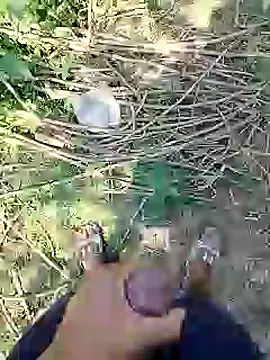 Snapshot of 88karan88 chatting on February 25, 2025, 6:58 am 88karan88 online show from February 25, 2025, 6:58 am