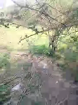 Snapshot of 88karan88 chatting on March 4, 2025, 4:38 am 88karan88 online show from March 4, 2025, 4:38 am