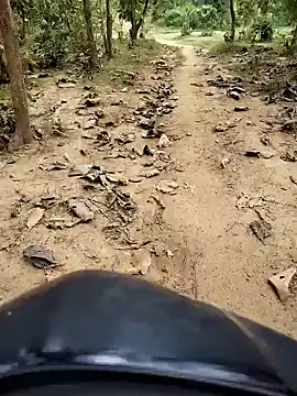 Snapshot of 88karan88 chatting on October 29, 2025, 4:48 am 88karan88 online show from October 29, 2025, 4:48 am