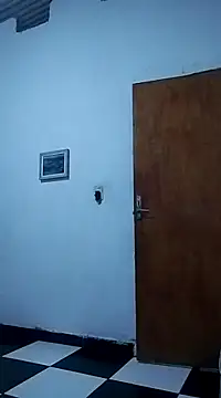 bundaouro online show from March 1, 2025, 4:26 am