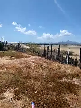 daniel traviexxxo online show from October 12, 2025, 5:12 pm