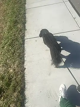 Esauhot online show from February 24, 2025, 8:25 pm