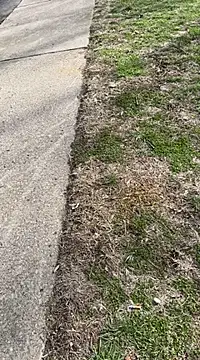 Esauhot online show from February 25, 2025, 7:03 pm