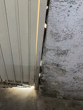 elber-gdo online show from October 13, 2025, 5:57 pm