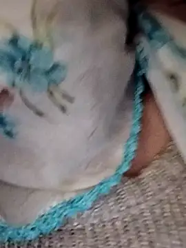  BaHaR  online show from September 21, 2025, 8:16 am