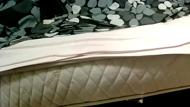 robertone80 online show from March 2, 2025, 2:30 am