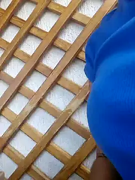 lily sk online show from February 11, 2025, 8:31 pm