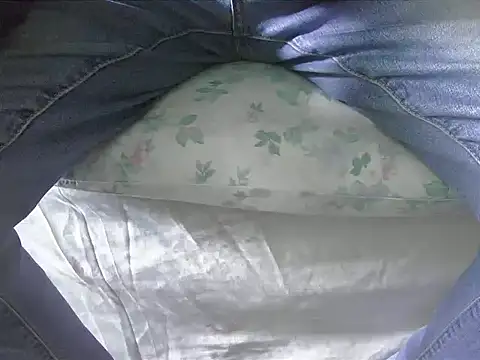 Tiger202441 online show from February 2, 2025, 12:46 pm