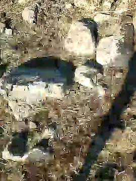 murokkk31 online show from December 21, 2024, 8:39 am