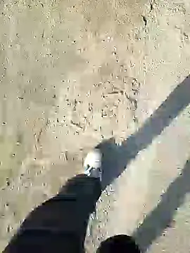 murokkk31 online show from December 31, 2024, 11:20 am