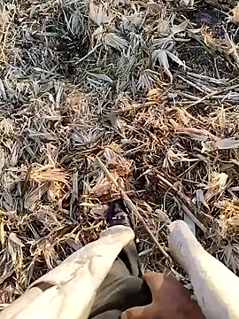 murokkk31 online show from September 22, 2025, 4:03 am