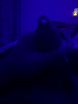 Snapshot of thecockybouy chatting on March 2, 2025, 1:36 am thecockybouy online show from March 2, 2025, 1:36 am