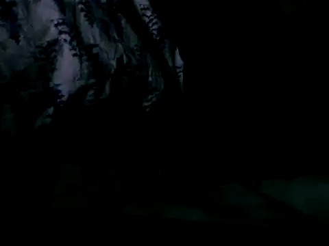 Snapshot of WHITEDAROSE chatting on February 19, 2025, 10:01 am WHITEDAROSE online show from February 19, 2025, 10:01 am