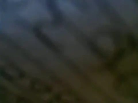 Snapshot of WHITEDAROSE chatting on March 12, 2025, 7:17 pm WHITEDAROSE online show from March 12, 2025, 7:17 pm