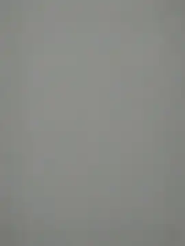 Snapshot of TheSouthernKing chatting on December 27, 2024, 12:12 pm TheSouthernKing online show from December 27, 2024, 12:12 pm