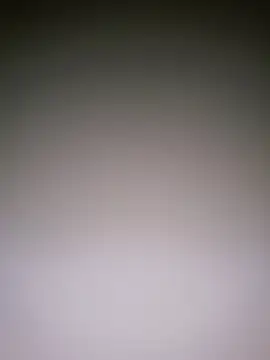 Dorset8360 online show from January 10, 2025, 5:02 pm