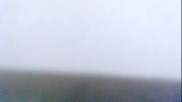 Layla squirt88 online show from November 24, 2025, 1:44 pm