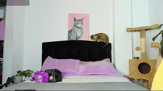 JuliaRose ks online show from March 24, 2026, 1:21 am