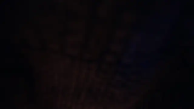 LureLily online show from December 21, 2025, 10:11 am