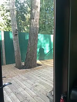 Snapshot of twist699 chatting on November 8, 2025, 6:40 pm twist699 online show from November 8, 2025, 6:40 pm