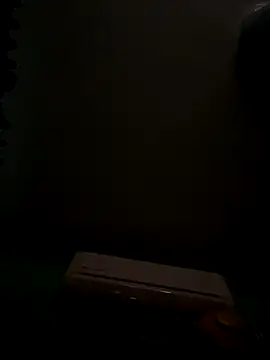 MephiticBermudas online show from October 20, 2025, 6:25 am