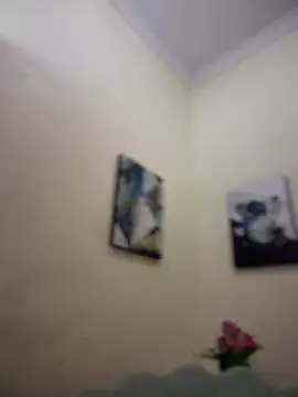 MaverickGray online show from January 26, 2025, 4:41 pm