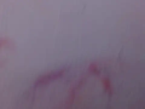 Mily pao1 online show from February 18, 2026, 11:11 pm