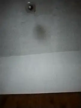 Snapshot of Xtrem3HARDxxx chatting on December 12, 2024, 6:14 am Xtrem3HARDxxx online show from December 12, 2024, 6:14 am