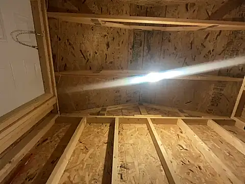 kikiwonderbar online show from December 17, 2024, 6:35 am