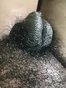 rajrahulovi online show from February 2, 2026, 4:49 pm