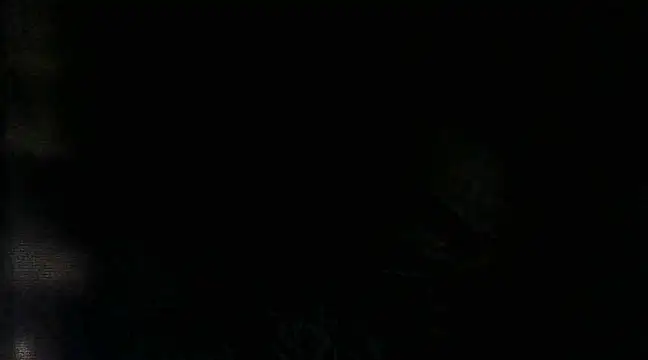 RenziTatte online show from March 22, 2025, 2:16 am