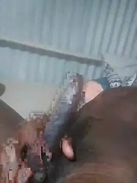 Snapshot of advocate2 chatting on November 8, 2025, 6:13 am advocate2 online show from November 8, 2025, 6:13 am