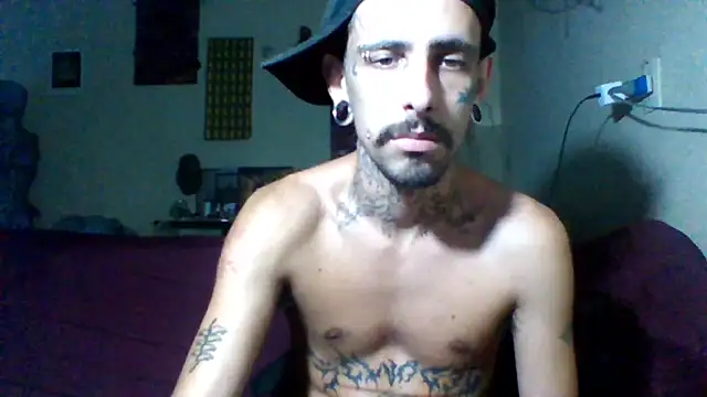 Snapshot of sellvageria chatting on February 17, 2026, 8:26 pm sellvageria online show from February 17, 2026, 8:26 pm