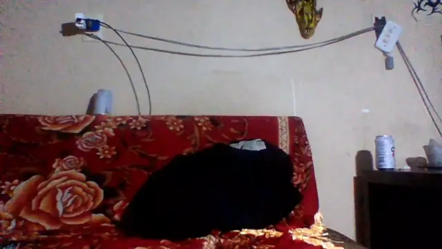 Snapshot of sellvageria chatting on February 26, 2026, 3:49 am sellvageria online show from February 26, 2026, 3:49 am