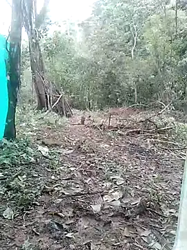 andreu mature online show from March 3, 2025, 4:14 pm