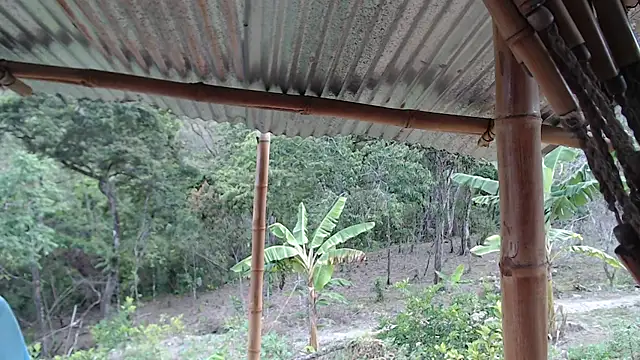 andreu mature online show from October 9, 2025, 9:57 pm