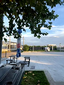 baramadalin online show from October 26, 2025, 5:24 am