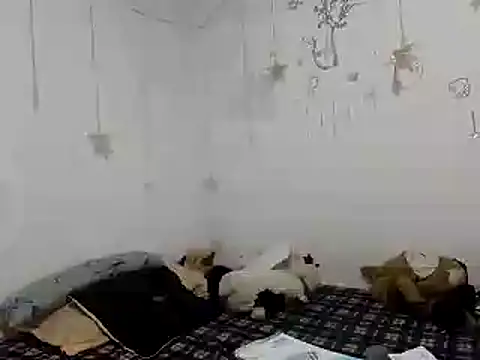 Snapshot of Nissha_johosonn chatting on December 13, 2024, 1:04 am Nissha johosonn online show from December 13, 2024, 1:04 am
