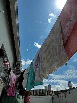  maiahairy  online show from November 6, 2025, 5:03 pm