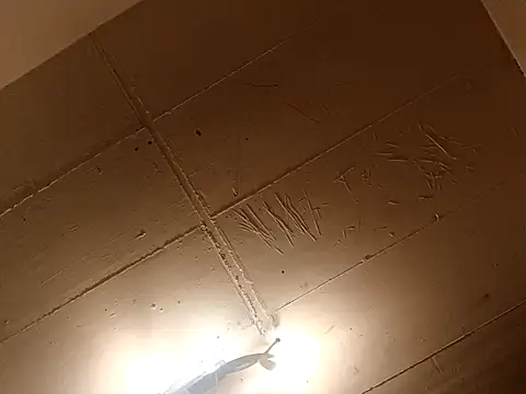 Timbojan28 online show from March 27, 2026, 11:48 pm