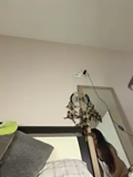 SOFIASWEETSECRETT online show from March 28, 2026, 4:28 pm