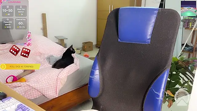 ashy 7999 online show from March 14, 2026, 12:43 pm