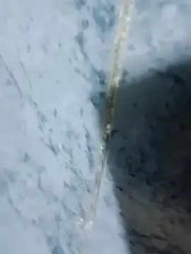 Chancho141414 online show from October 18, 2025, 2:03 am