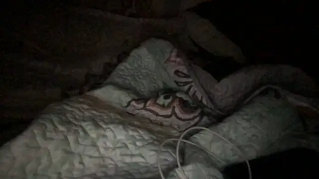 loveofbea online show from October 23, 2025, 5:07 am