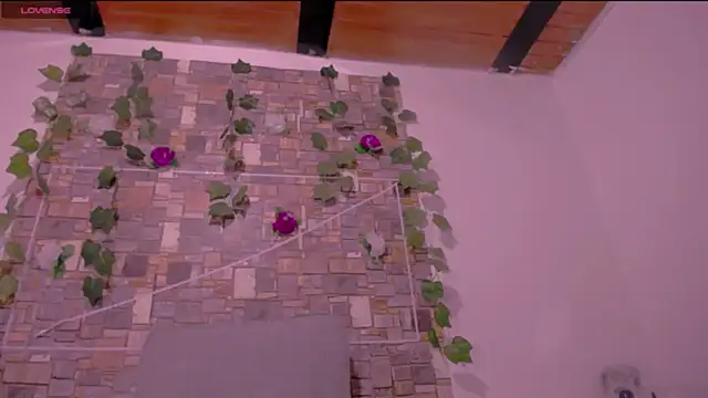 CrazyRousex online show from March 4, 2026, 2:45 pm