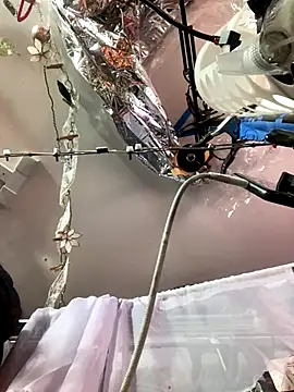 gurlnips online show from November 26, 2025, 6:25 am