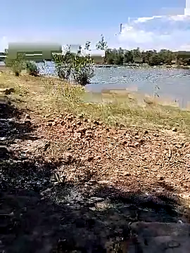 BaseDick online show from September 24, 2025, 10:07 am