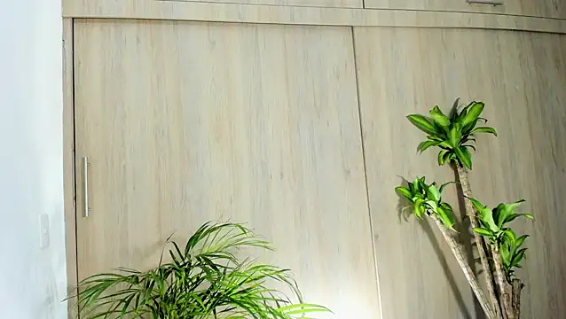 filletatouee online show from October 30, 2025, 4:03 am