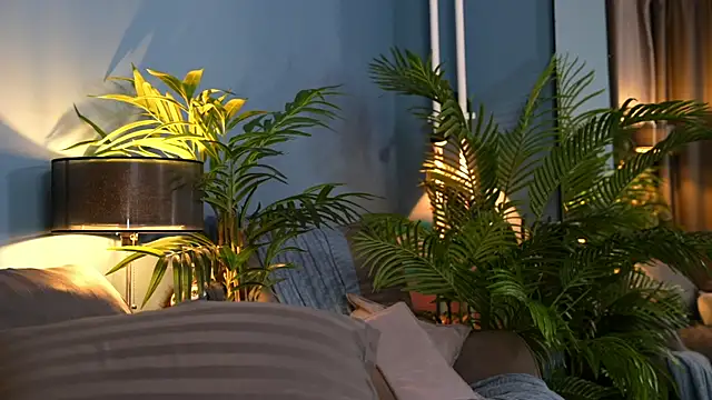  keeti  online show from October 10, 2025, 6:01 am