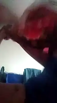 adriel perez online show from December 15, 2024, 11:55 am